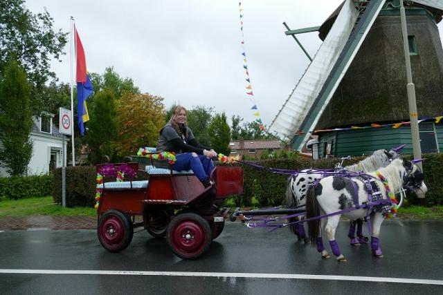pony rijden