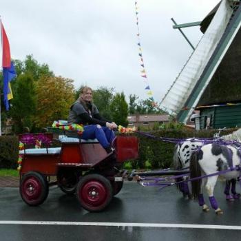 pony rijden